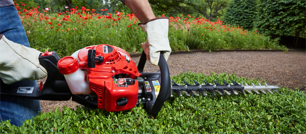 shindaiwa hedge trimmer